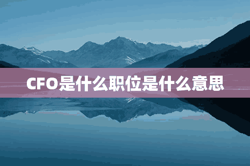 CFO是什么职位是什么意思